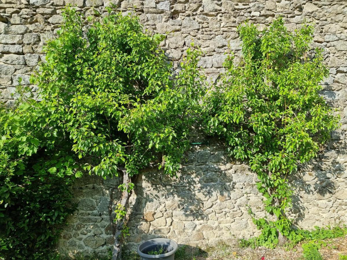 L'Atrium Bed and Breakfast Piégut-Pluviers Eksteriør billede